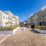 Apartma Palma Umag